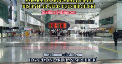 Ankara Esenboğa Havalimanı Dış Hatlar Geliş Uçuş Bilgileri